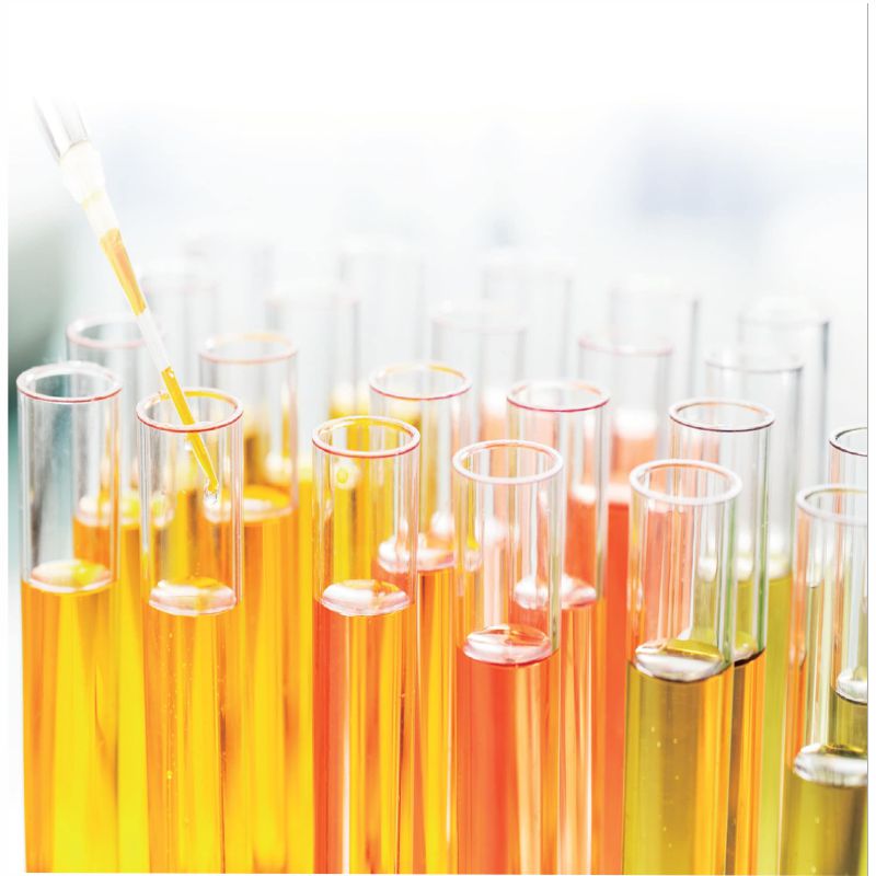 Library for Phospholipid Profiling